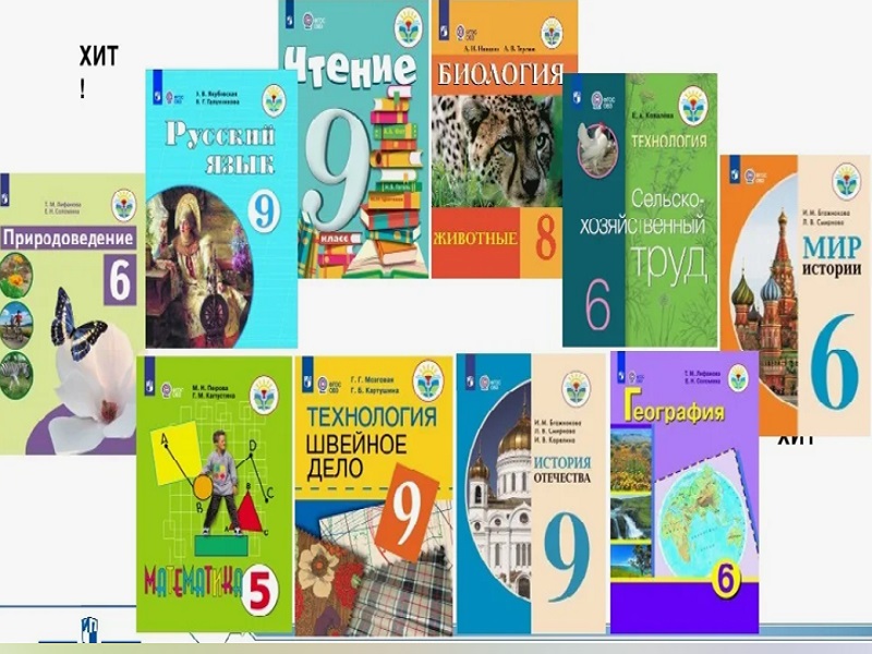 Обеспечение учебниками и учебными пособиями.